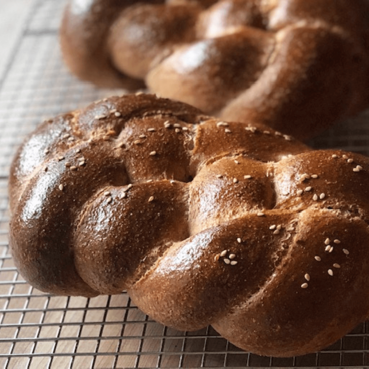 2 Whole wheat sourdough braided challah on a cooling rack with sesame seeds on top