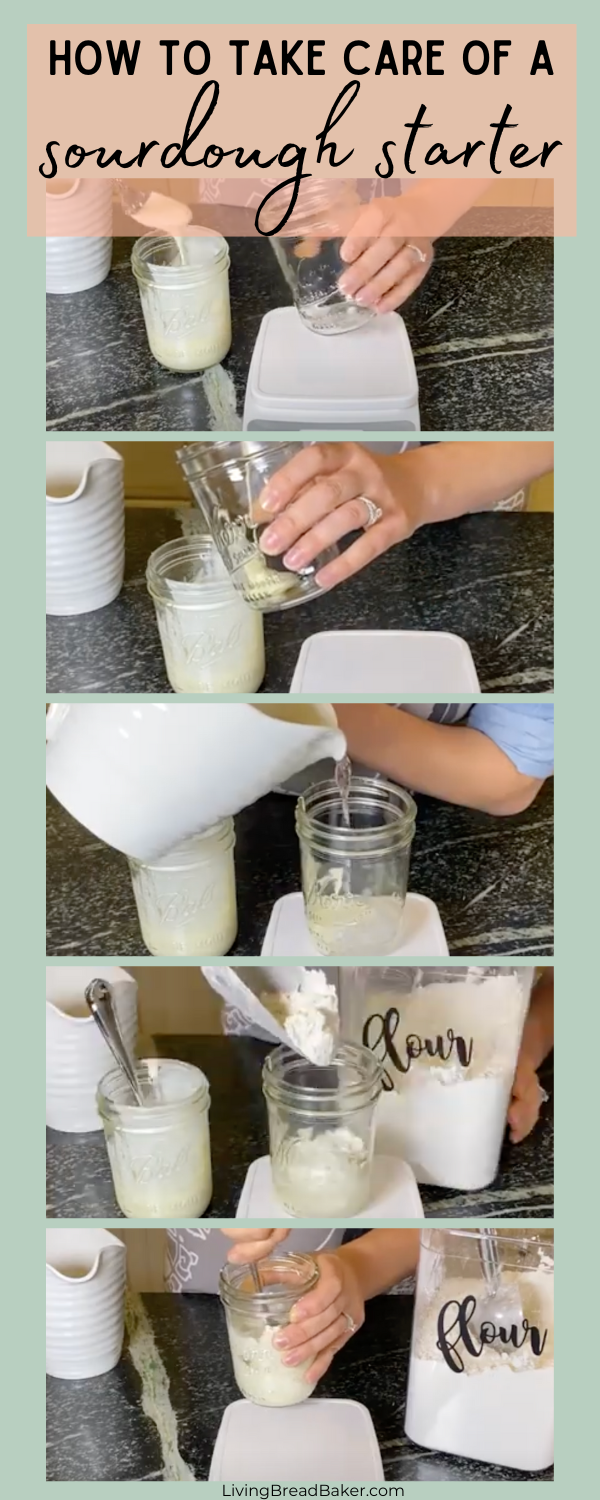 HOW TO CARE FOR AN ESTABLISHED SOURDOUGH STARTER visual data 5