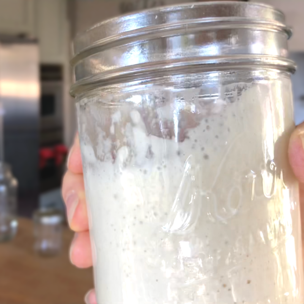 how to make a sourdough starter from scratch