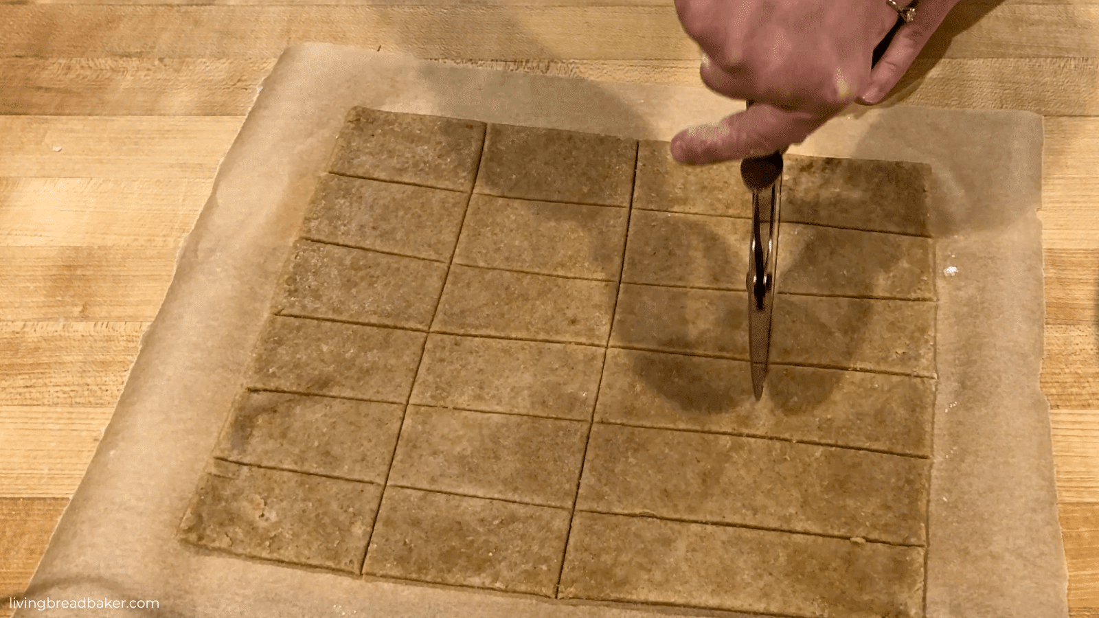pizza cutter cutting rolled sourdough discard graham cracker dough into rows for best sourdough discard graham crackers recipe