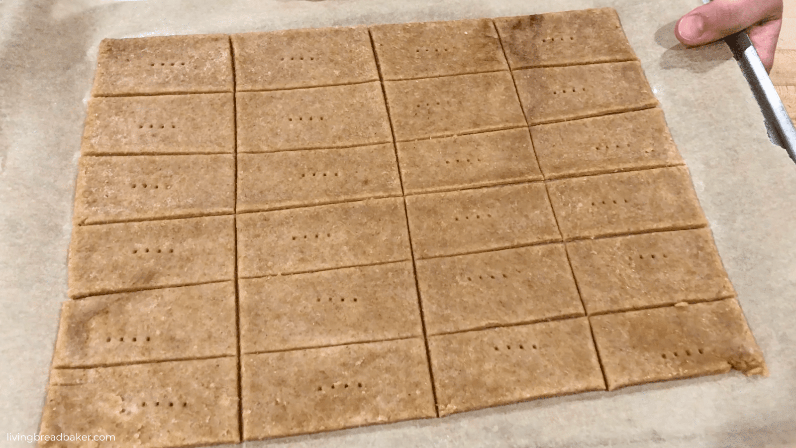 sourdough discard graham cracker dough cut into crackers and ready to bake for best sourdough discard graham crackers recipe