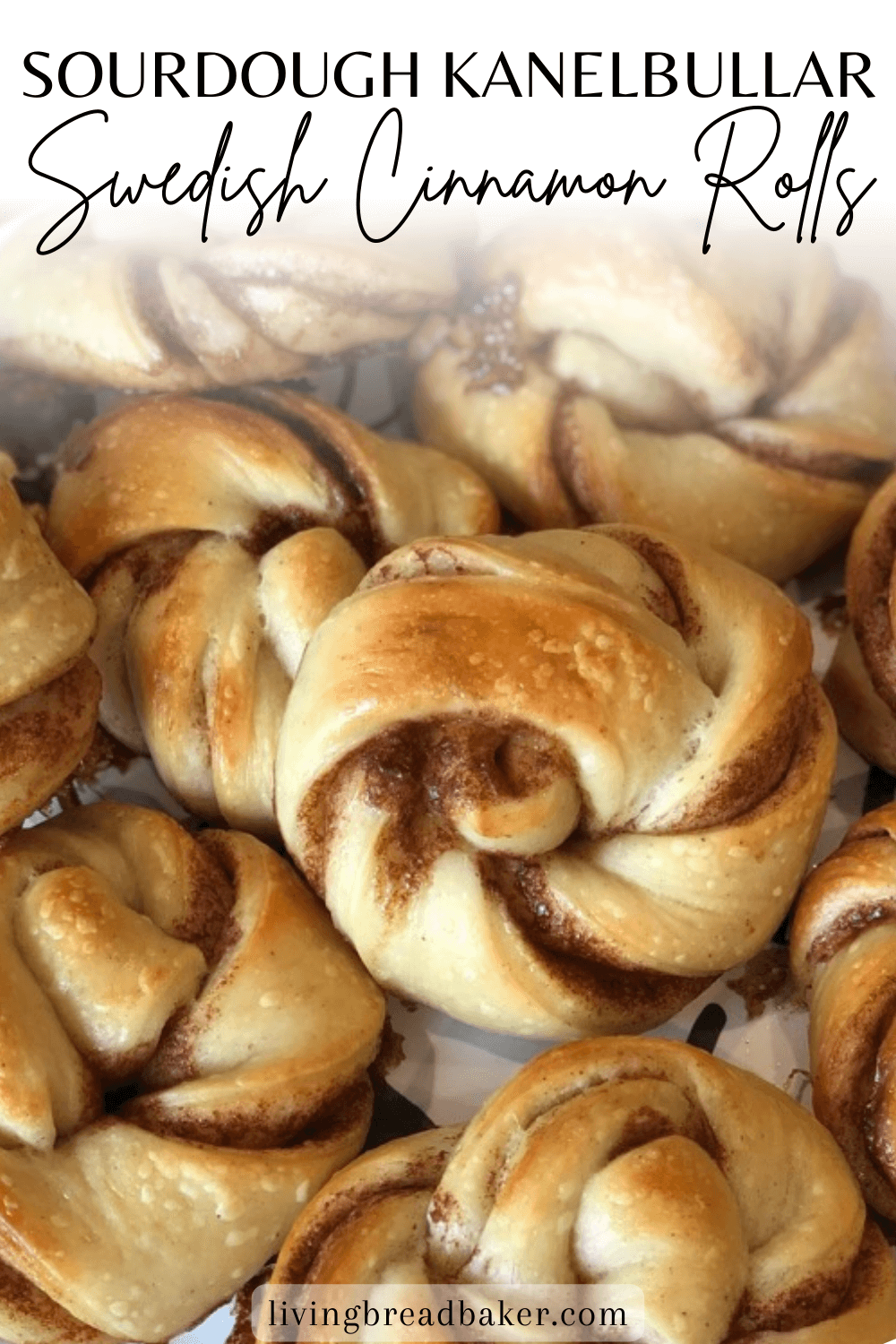 Sourdough Kanelbullar (Swedish Cinnamon Cardamom Knots) Living Bread