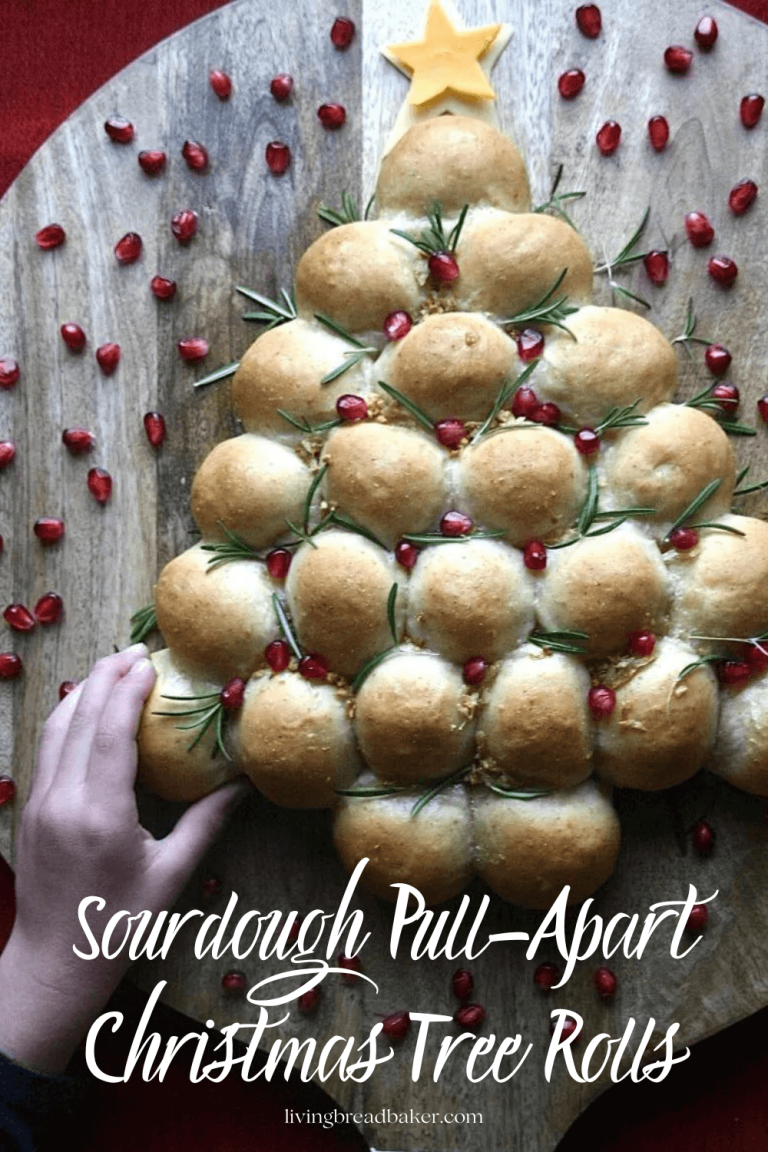 Tagpull Apart Christmas Tree Southern Living