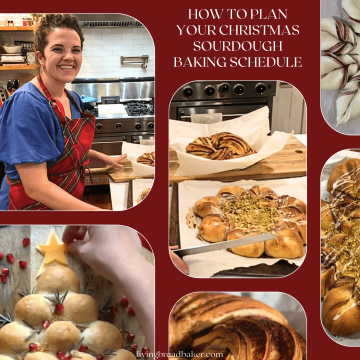 How to Plan Your Christmas Sourdough Baking Schedule - Living Bread Baker
