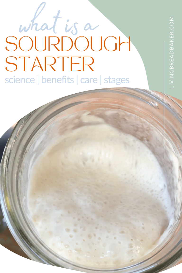 How Much Does A Cup Of Sourdough Starter Weigh Active Vs Discard how-much-does-a-cup-of-sourdough-starter-weigh-active-vs-discard