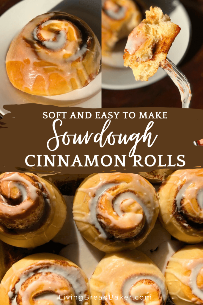 text: soft and easy to make sourdough cinnamon rolls, images of a large vanilla icing glazed sourdough cinnamon roll on a white plate, a baking sheet full of sourdough cinnamon rolls, and a forkful of cinnamon roll