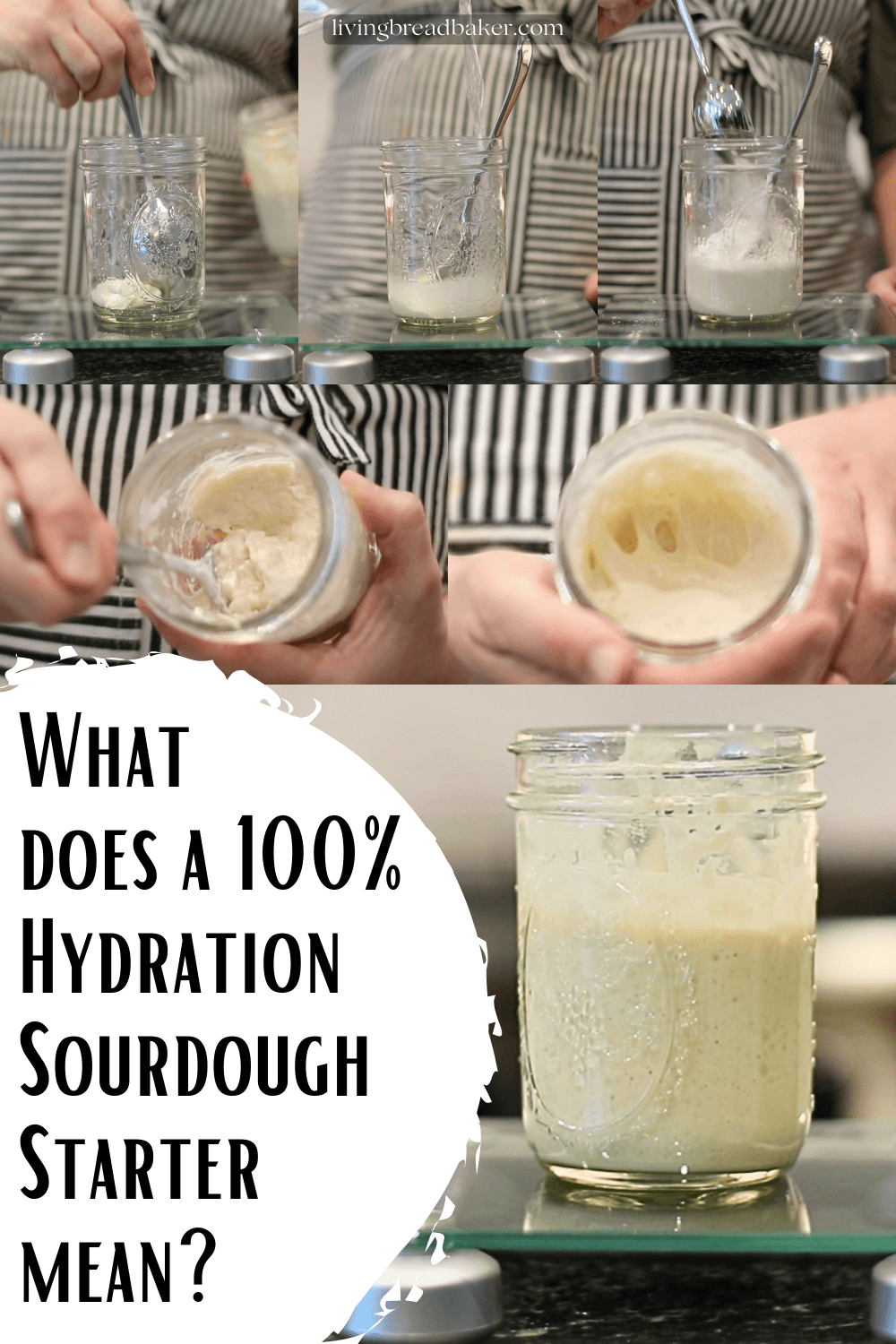 What does a 100 Hydration Sourdough Starter mean? Living Bread Baker