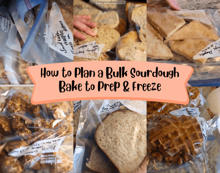 How to Freeze Sourdough Bread, Scones, & More (Easy & Fast) - Living ...