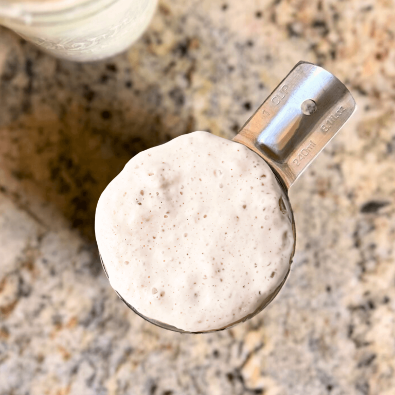 stainless steel one-cup measuring cup full of sourdough starter on a kitchen counter for post: how much does a cup of sourdough starter weigh