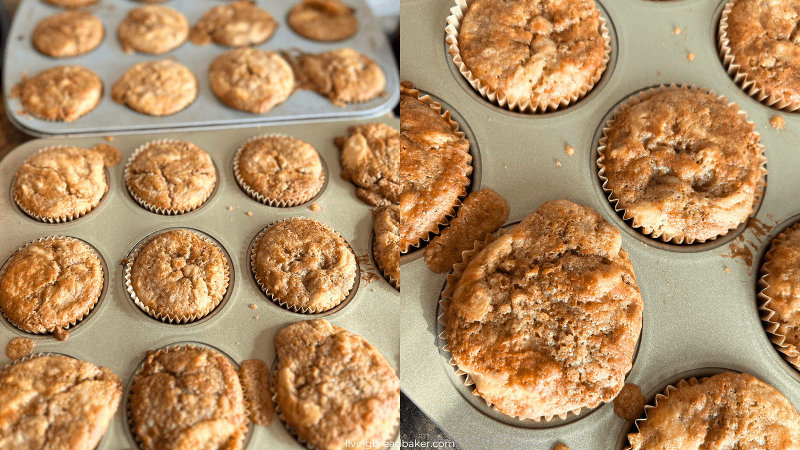 Easy Sourdough Discard Banana Muffins with brown sugar streusel in muffin tin