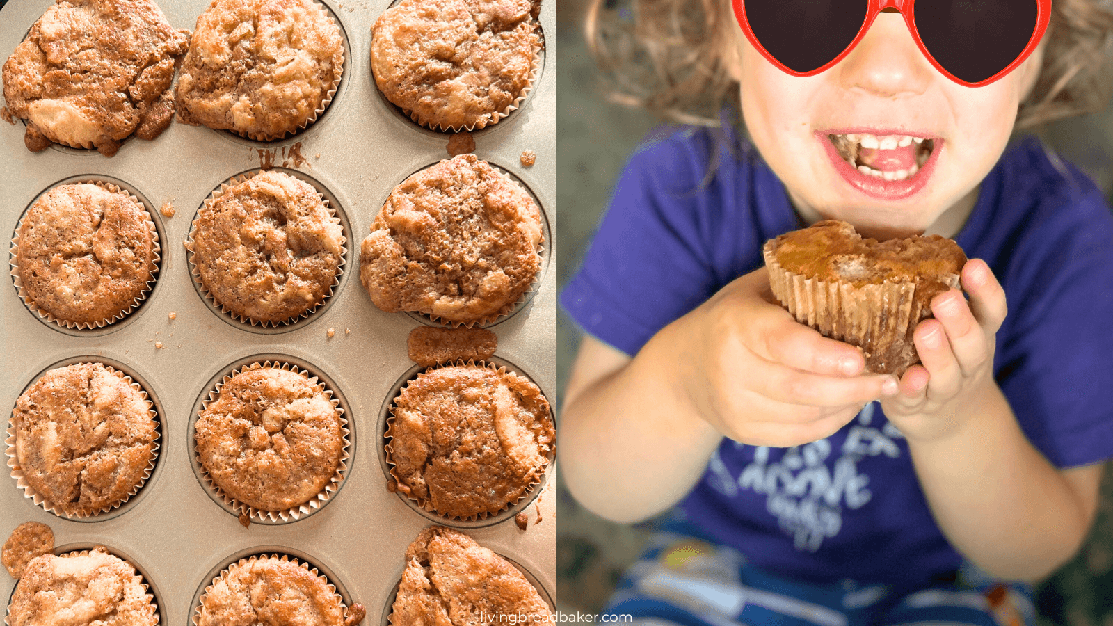 Easy Sourdough Banana Muffins baked in a muffin tin