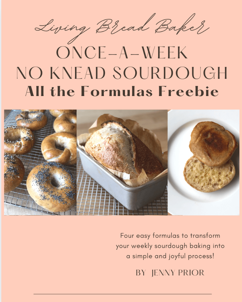 once-a-week no knead sourdough all the formulas freebie product image