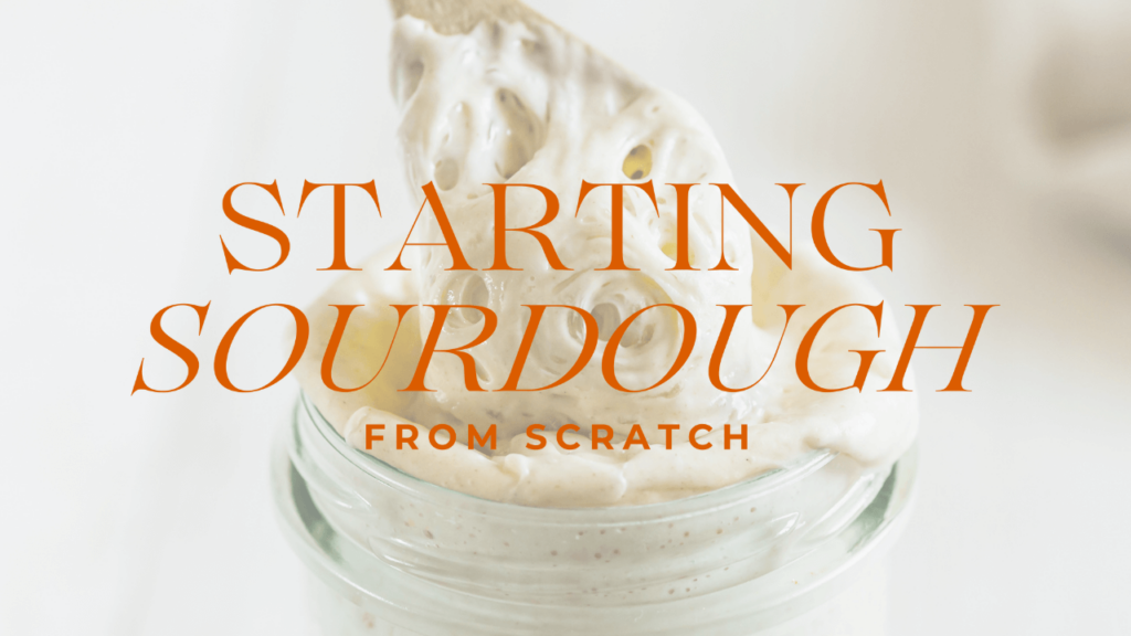 text: starting sourdough from scratch with image of a jar of sourdough starter with a spoon scooping it