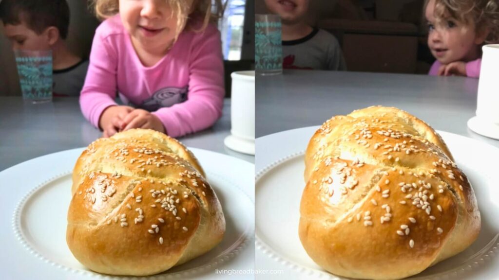 sourdough challah inspirational sourdough baking stories 