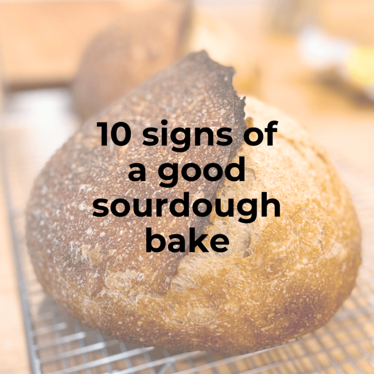 text: 10 signs of a good sourdough bake