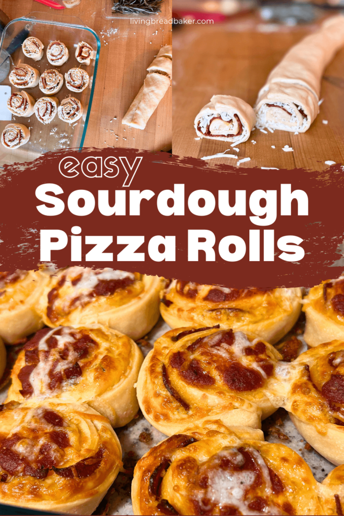 easy sourdough pizza rolls collage of process photos and final of baked pepperoni pizza rolls