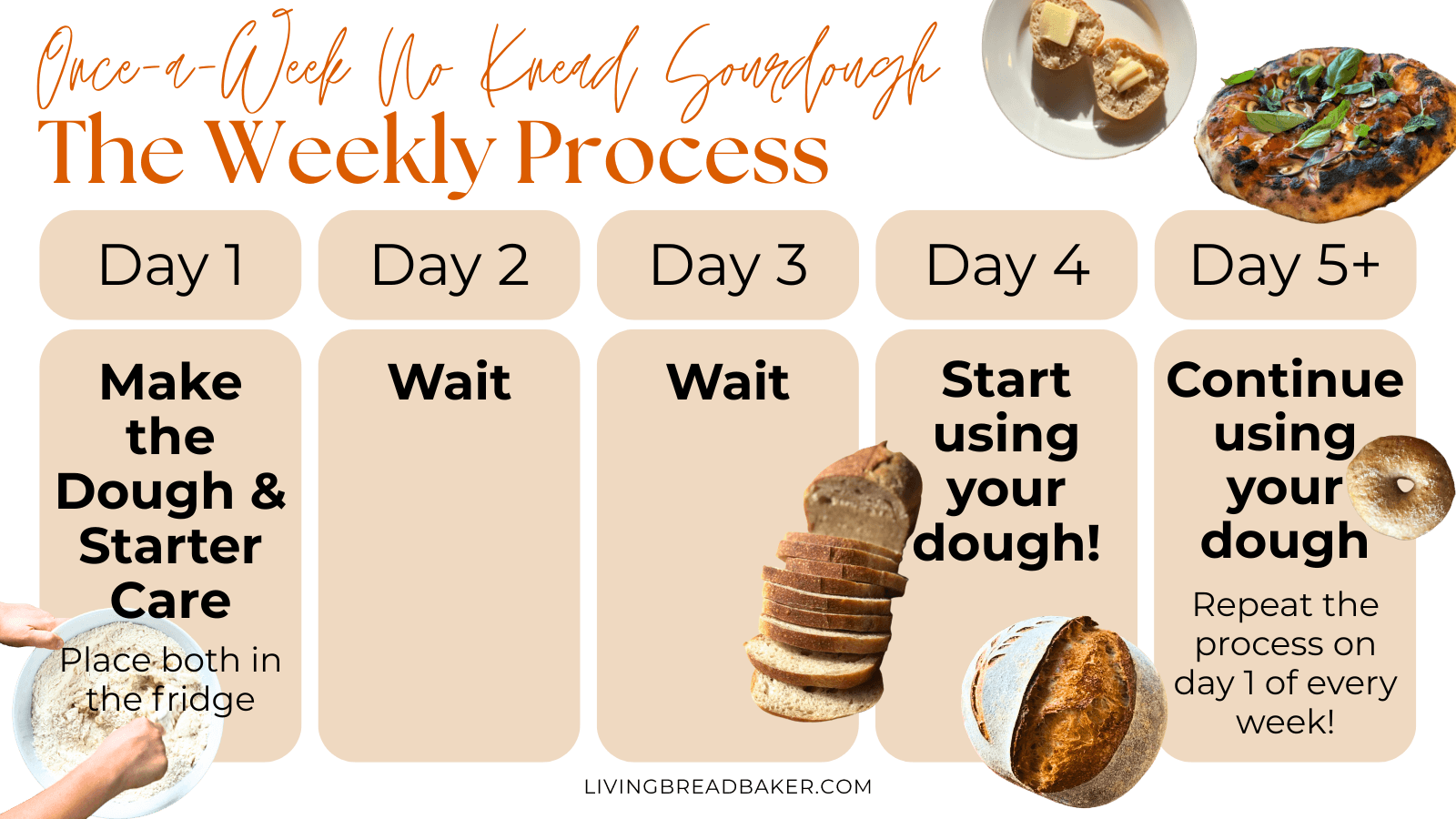 once a week no knead sourdough the weekly process visual schedule chart