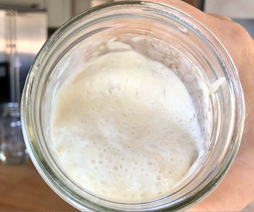 jar of bubbly active sourdough starter