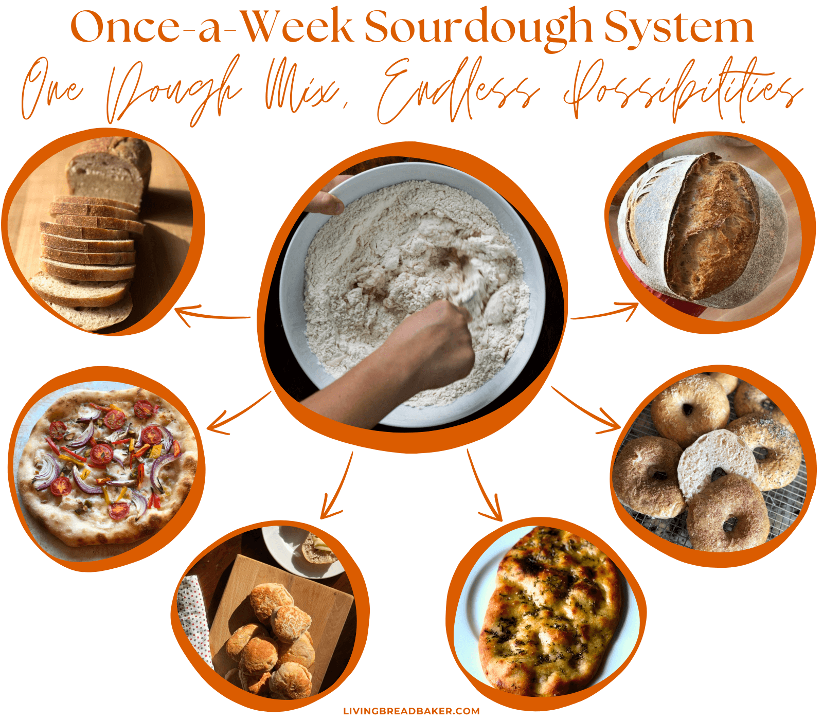 once a week no knead sourdough blog post one dough mix, endless possibilities arrows pointing to images of sandwich bread, pizza, English muffins, focacccia, bagels