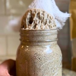 rye sourdough starter for making a starter from scratch
