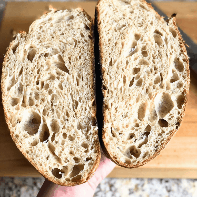 sourdough crumb for Beginner's Guide to the Sourdough Bread Baking Process feature image