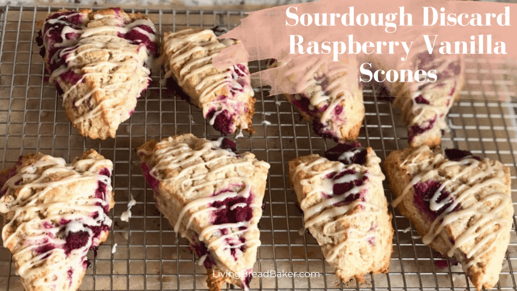 Best Sourdough Discard Raspberry Vanilla Scones
