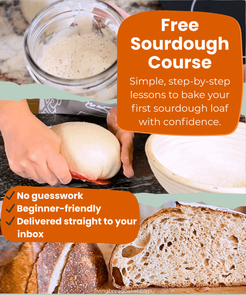 Free Sourdough Course visual ad