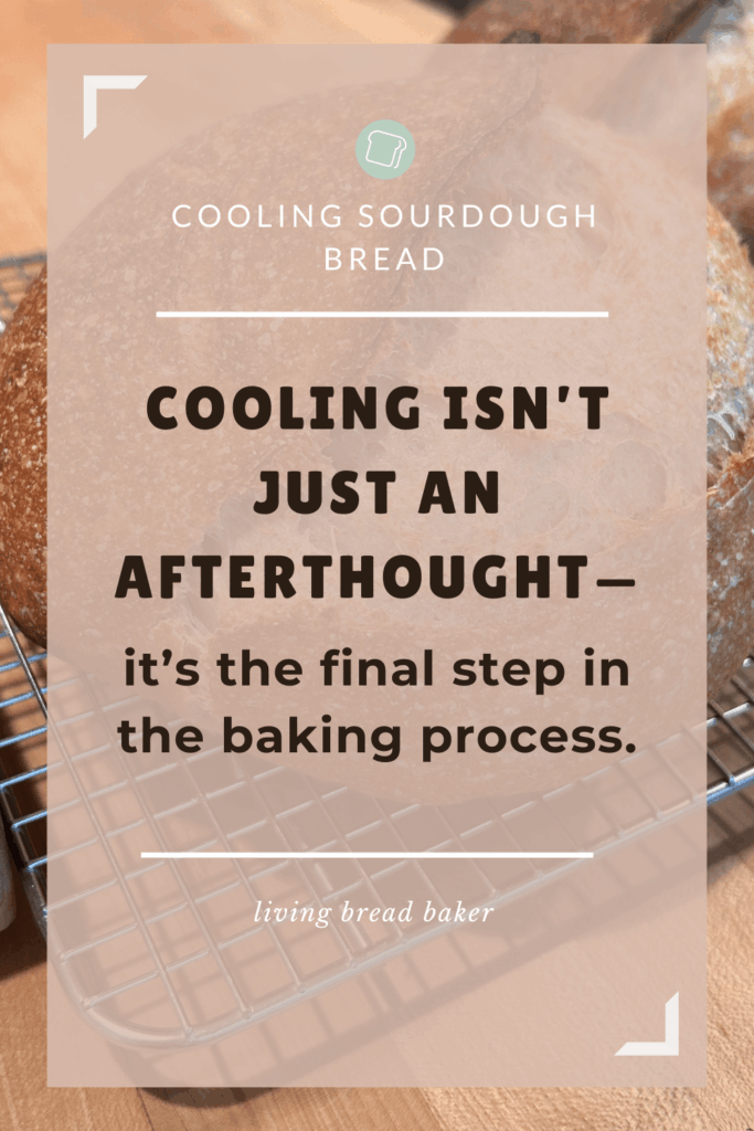 Cooling isn’t just an afterthought—it’s the final step in the baking process. 