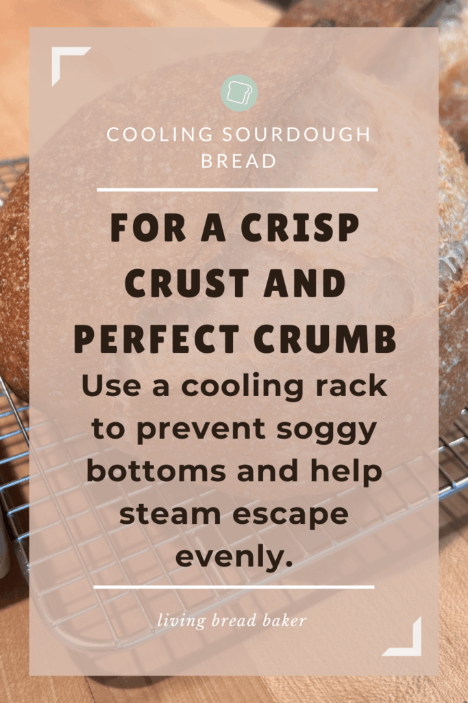 For a crisp crust and perfect crumb: Use a cooling rack to prevent soggy bottoms and help steam escape evenly.