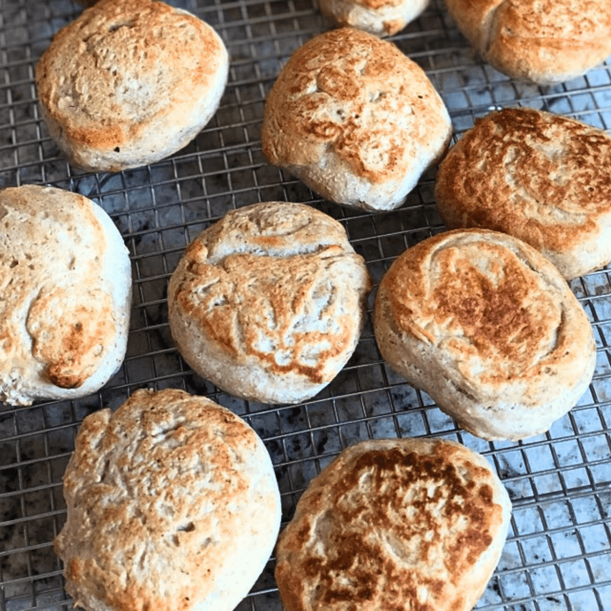 no knead sourdough english muffins