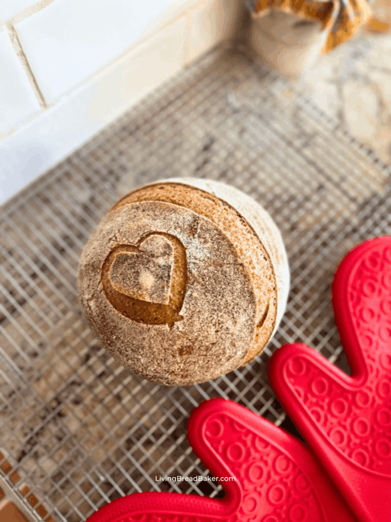 gluten-free sourdough bread and starter