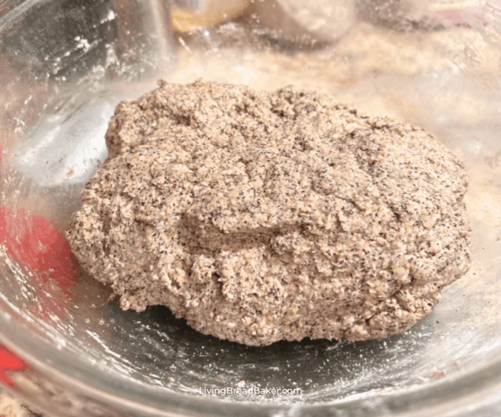 gluten-free sourdough bread dough