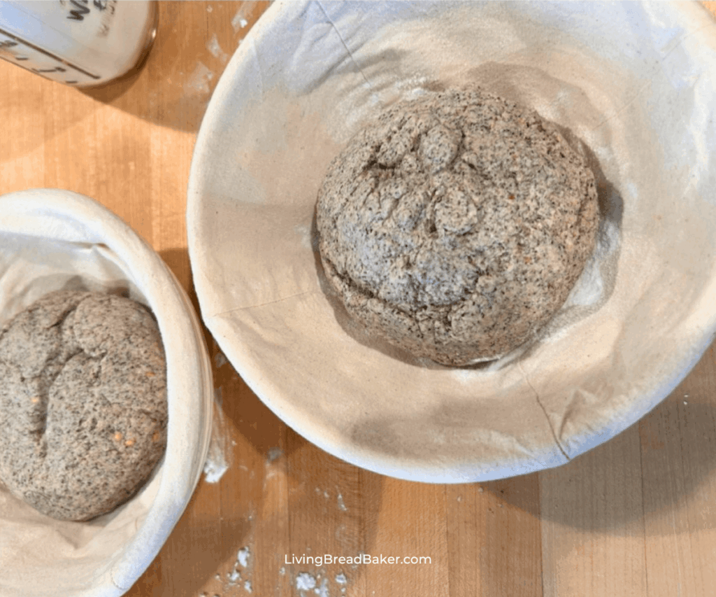 gluten-free sourdough bread dough proofing