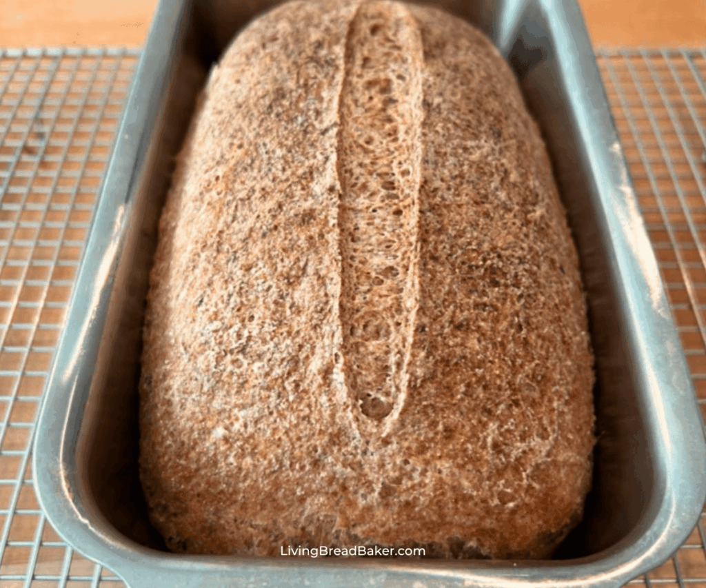gluten-free sourdough bread loaf
