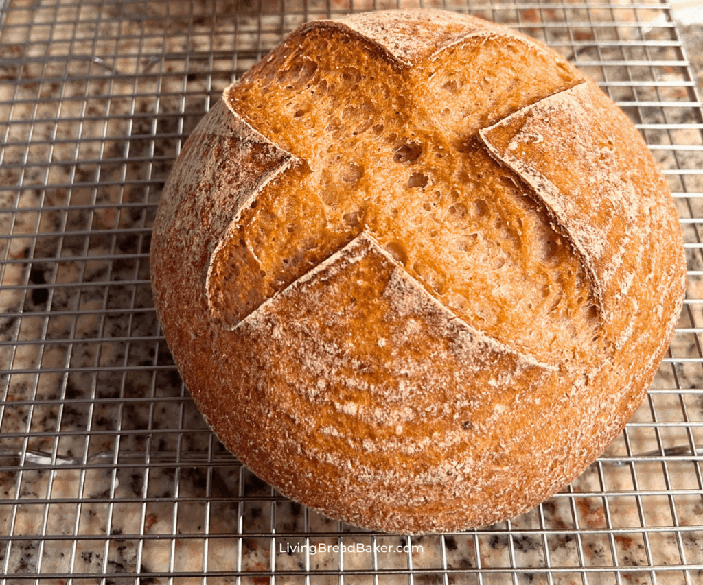 gluten-free sourdough bread boule