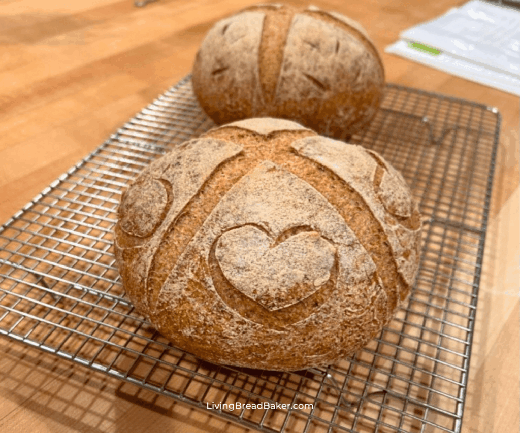 gluten-free sourdough bread boules