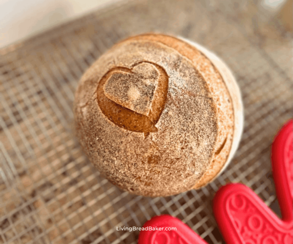 gluten-free sourdough bread boule