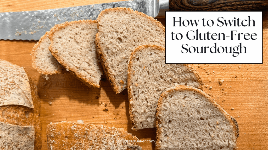 gluten-free sourdough bread sliced msn post featured image 