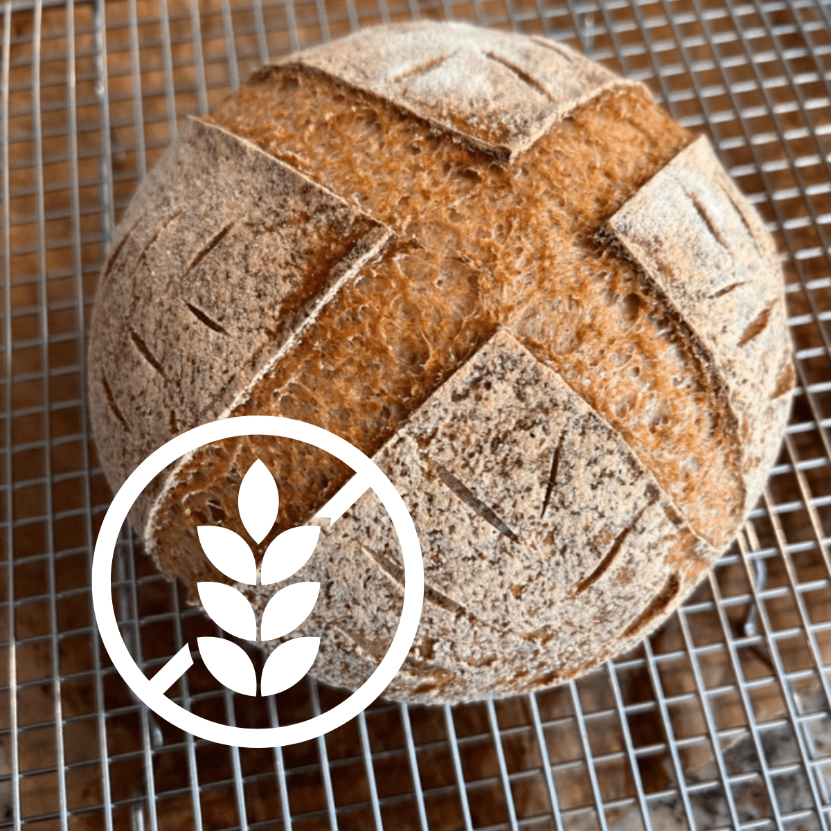 gluten-free sourdough bread boule