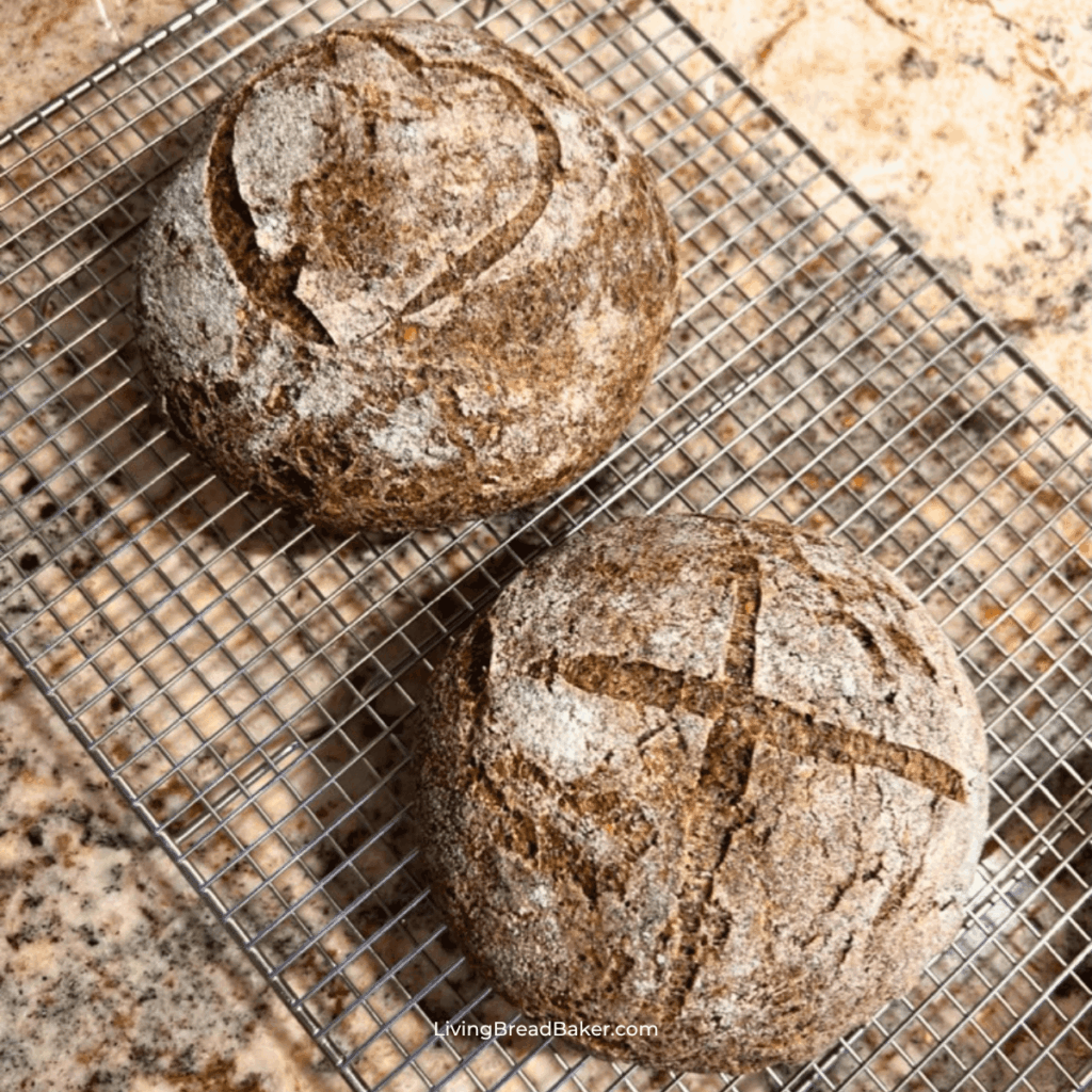 gluten-free sourdough bread boules