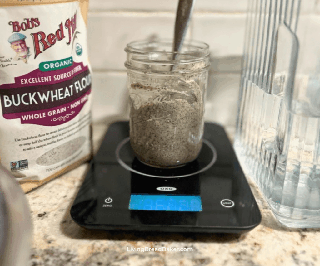 gluten-free sourdough starter
