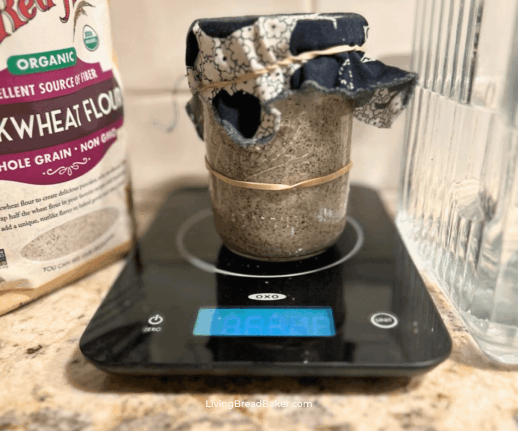 gluten-free sourdough starter