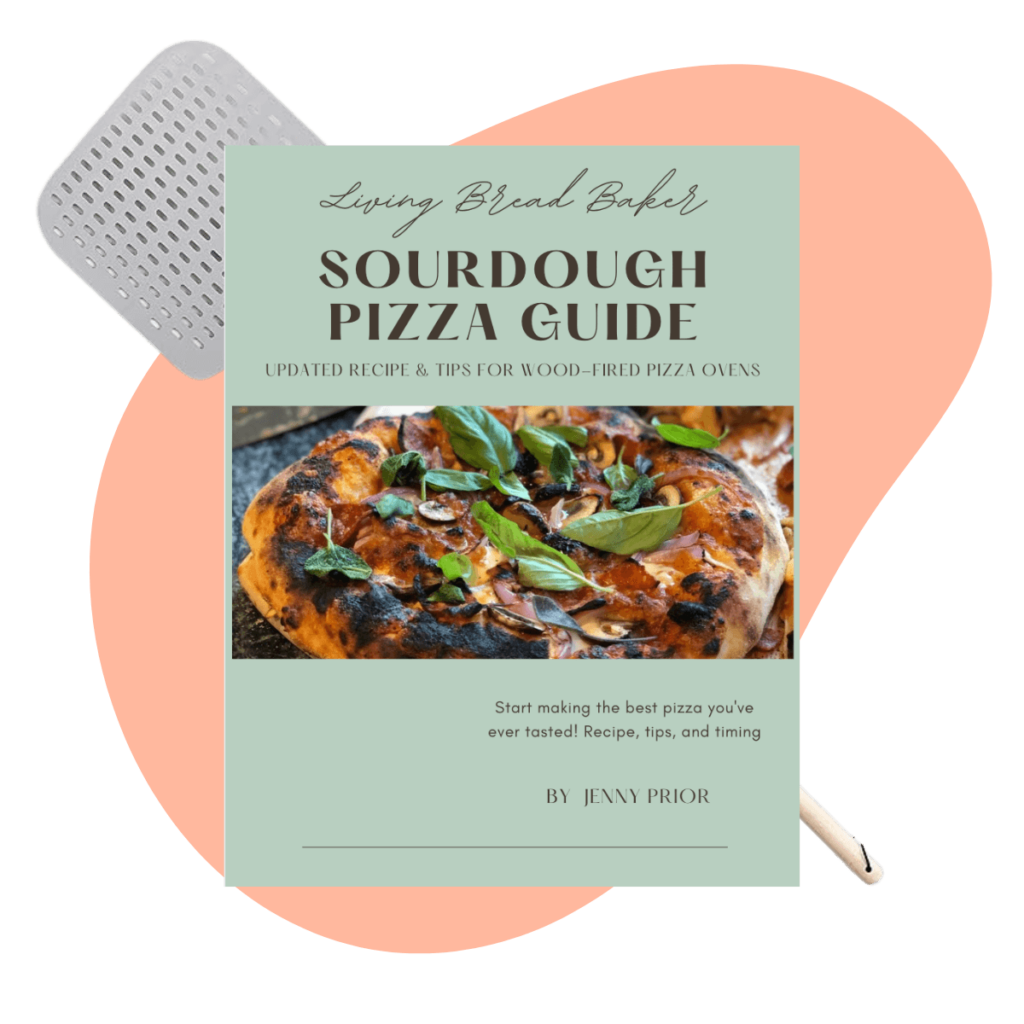 VIP Ultimate Sourdough Pizza Guide with pizza peel
